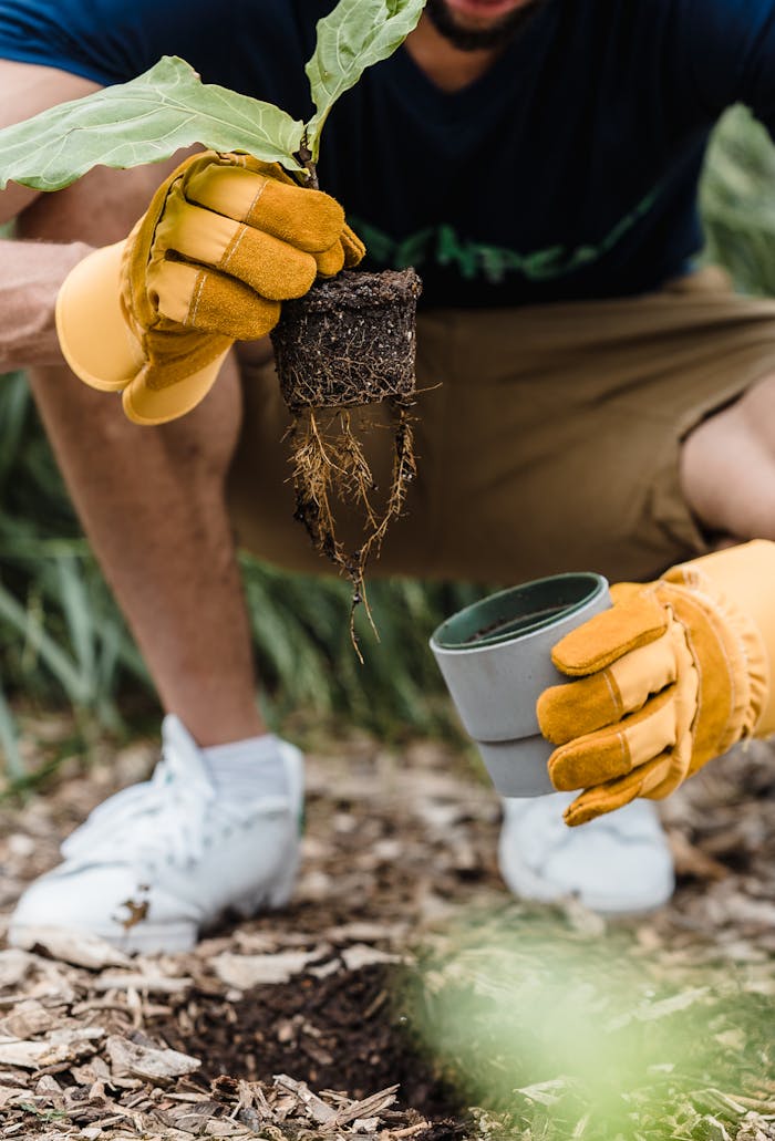 Free stock photo of day, environmental conservation, focus on foreground
